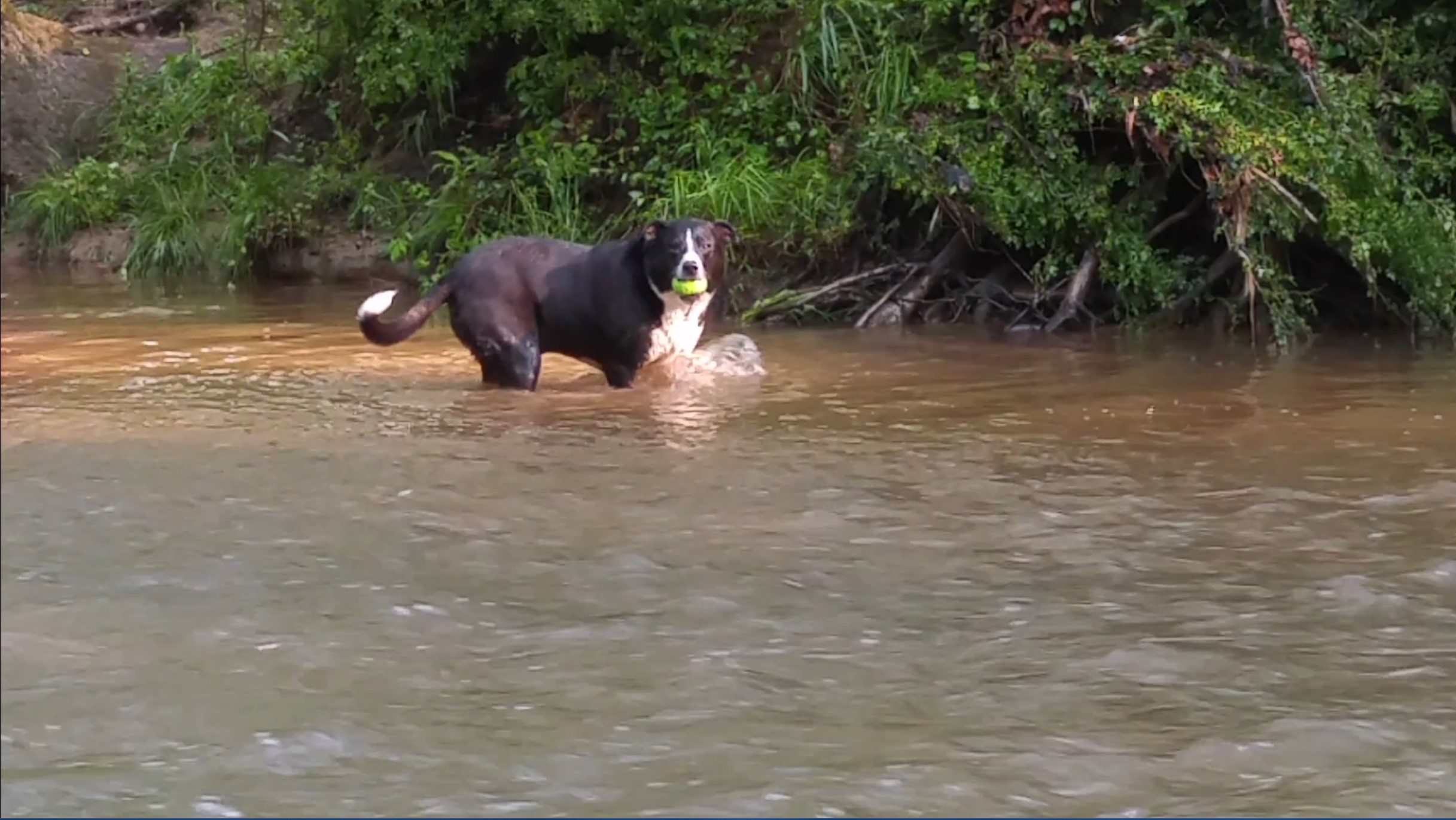 Diving for Ball